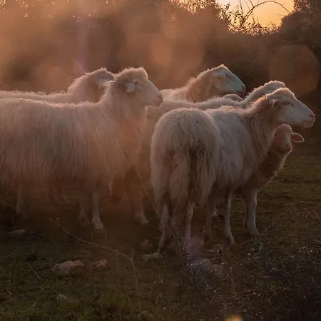 Son Rosas * Ciutadella (Menorca)
