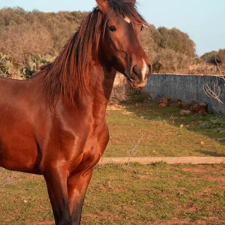 Son Rosas * Ciutadella (Menorca)