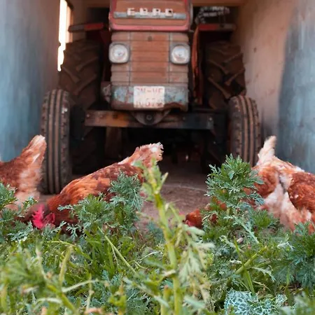 Son Rosas Hétvégi ház Ciutadella