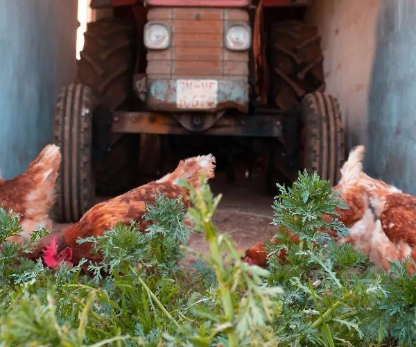 Son Rosas בית כפרי סיוטאדלה