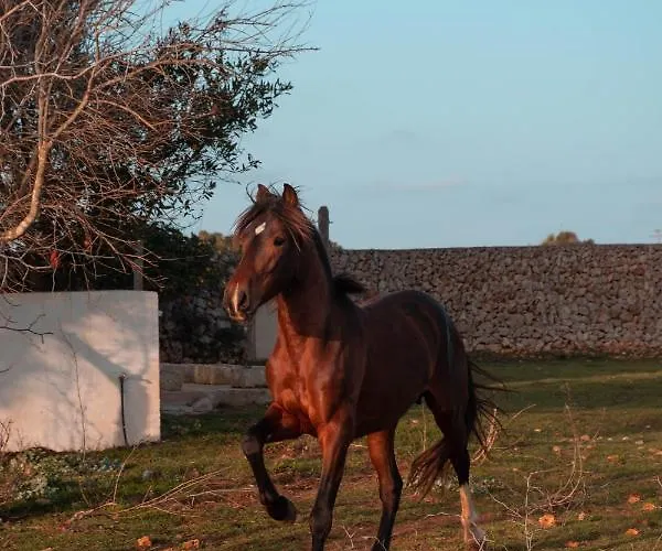 Son Rosas * סיוטאדלה