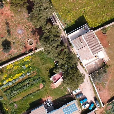 Country house Son Rosas *